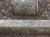 image of grave number 795074